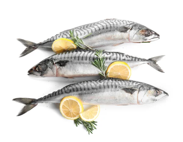 Tasty Raw Mackerel Fish Rosemary Lemon White Background — Stock Photo, Image