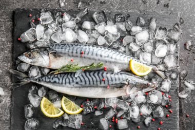 Lezzetli çiğ uskumru balığı ve buz gri tablo ile kayrak plaka