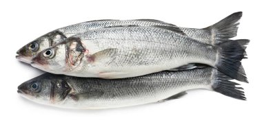 Lezzetli taze levrek balık beyaz arka plan üzerinde