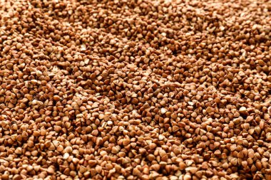 Arka plan olarak ham buğday