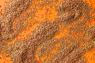 Renk arka plan üzerinde ham buğday