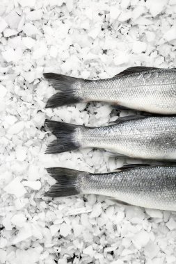 Tuz balık lezzetli taze levrek