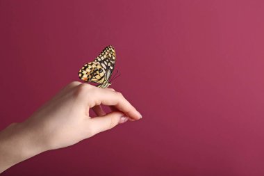 Güzel kelebek el renk arka plan üzerinde oturan