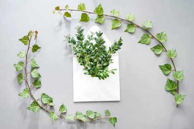 Açık renkli yeşil dallarda olan kağıt zarf