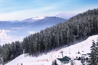 Kış günü mountain Resort'ta iğne yapraklı orman