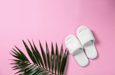 Yumuşak terlik ve renk arka plan üzerinde tropikal yaprak