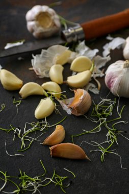 Taze sarımsak ve koyu arka plan üzerinde bıçak