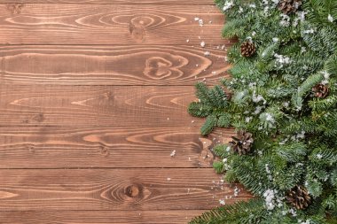 Köknar ağacı dalları, koni ve ahşap masa karda