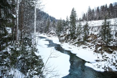 Kış günü ormandaki nehir dağ ile güzel manzara