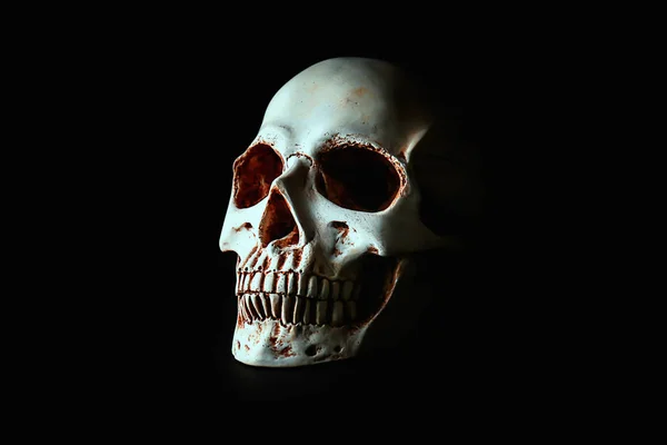 黒い背景をした人間の頭蓋骨 — ストック写真