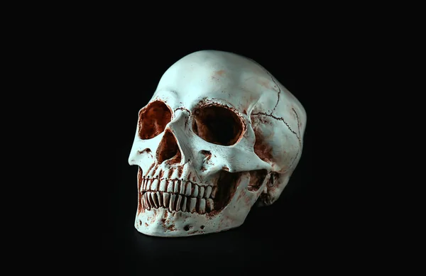 Cráneo Humano Sobre Fondo Negro — Foto de Stock
