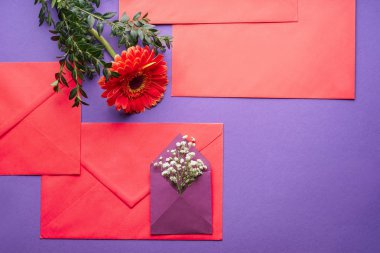 Zarflar ve renk arka plan üzerine güzel çiçekler