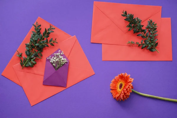 Zarflar Renk Arka Plan Üzerinde Çiçek Dekorasyonu — Stok fotoğraf