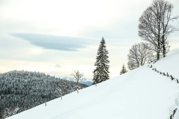 Bellissimo Paesaggio Con Montagne Nella Giornata Invernale — Foto Stock