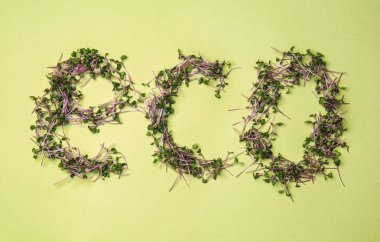 Renk arka plan üzerinde yeşil lahanası Word Eko yapılmış