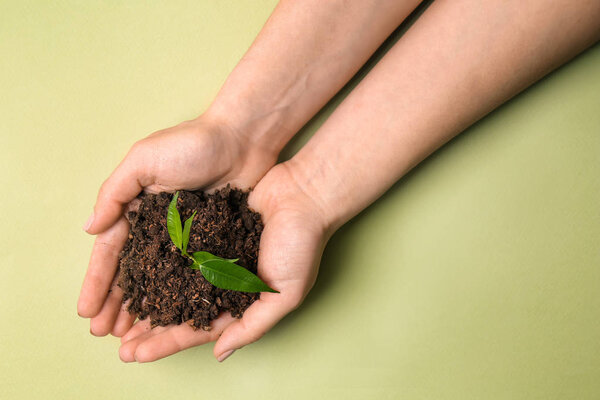 Female hands holding heap of soil with green plant on color background. Ecology concept