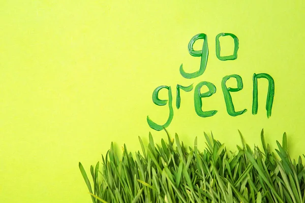 Texto Green Con Hierba Verde Sobre Fondo Color — Foto de Stock
