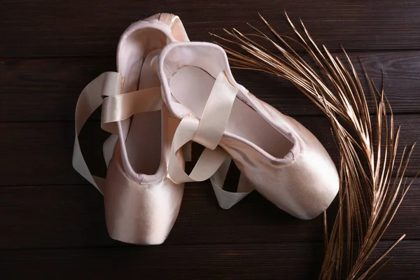 Balettskor Med Golden Palm Leaf Trä Bakgrund — Stockfoto
