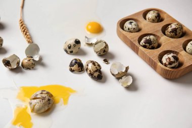 Çiğ Bıldırcın yumurta beyaz arka plan üzerinde kırık