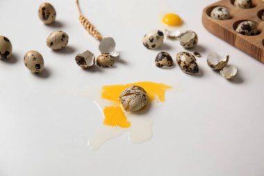 Çiğ Bıldırcın yumurta beyaz arka plan üzerinde kırık