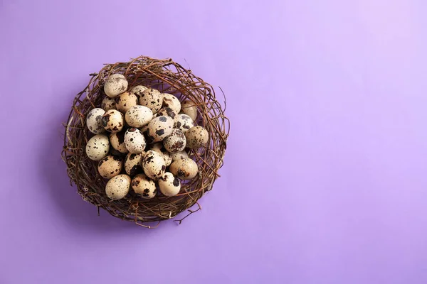 Nest Raw Quail Eggs Color Background — Stock Photo, Image