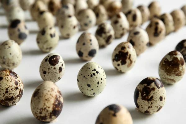 Raw Quail Eggs White Background — Stock Photo, Image