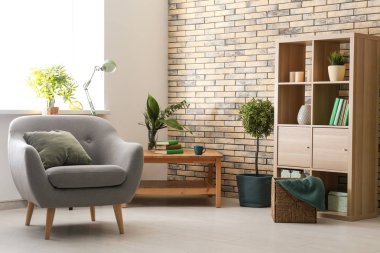 Rahat koltuğu olan modern bir oda.