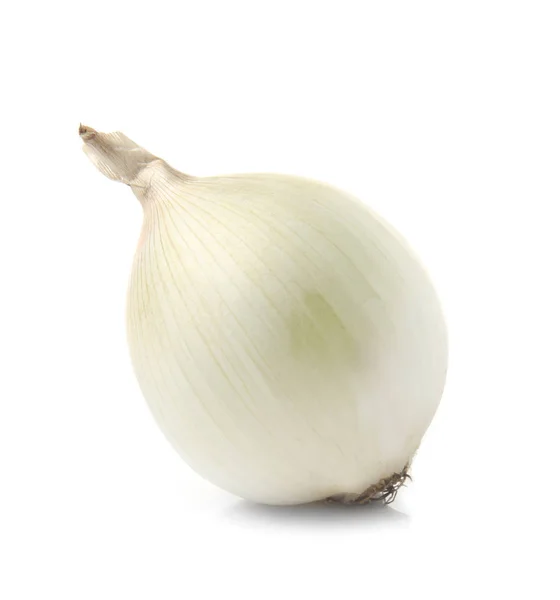 Raw Onion White Background — Stock Photo, Image