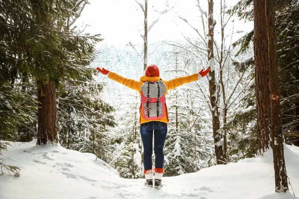 Beautiful Woman Winter Forest — Stock Photo, Image