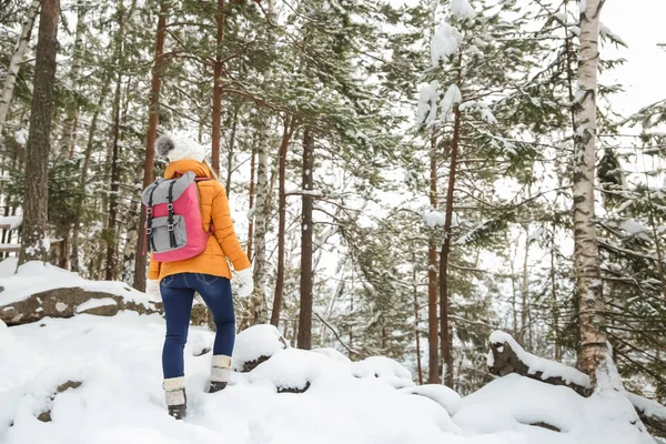 Beautiful Woman Winter Forest — Stock Photo, Image