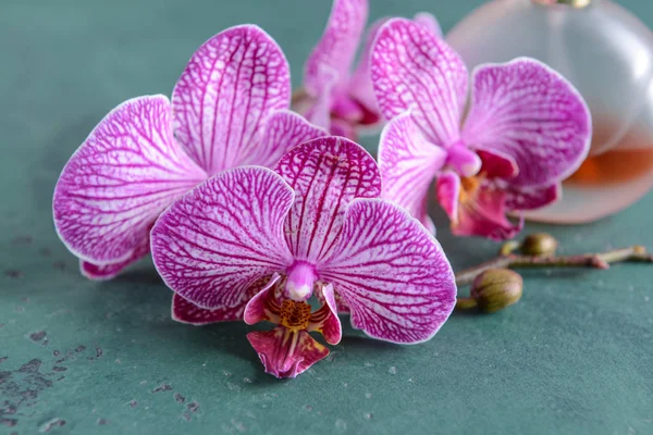 Schöne Orchideenblüten Und Eine Flasche Parfüm Auf Dem Tisch Nahaufnahme — Stockfoto