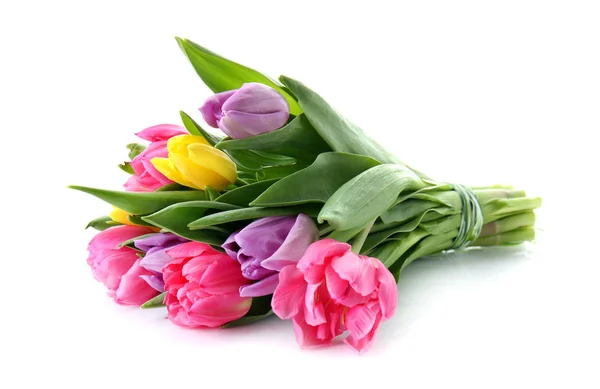 Bouquet Beautiful Tulips White Background — Stock Photo, Image