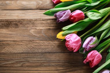 ahşap arka plan üzerinde güzel taze laleler