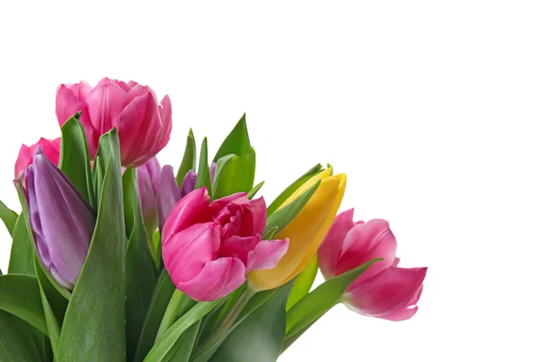 Bouquet Beautiful Tulips White Background — Stock Photo, Image