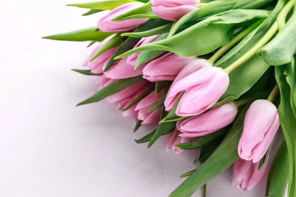 Beautiful fresh tulips on color background