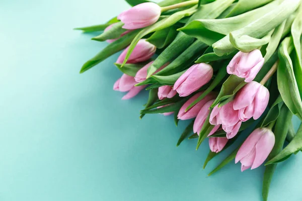 Belles Tulipes Fraîches Sur Fond Couleur — Photo
