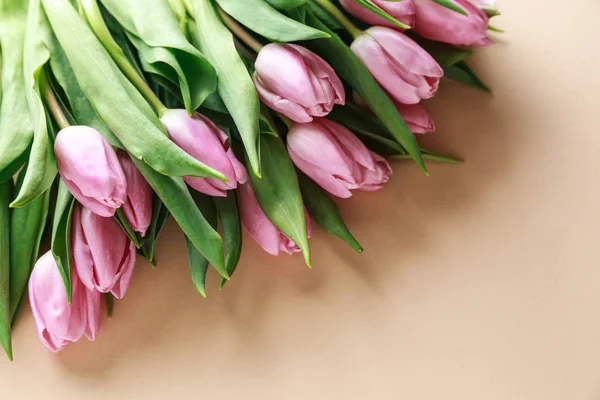 Bei Tulipani Freschi Sfondo Colori — Foto Stock