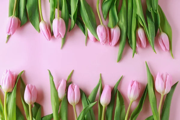 Bei Tulipani Sfondo Colori — Foto Stock