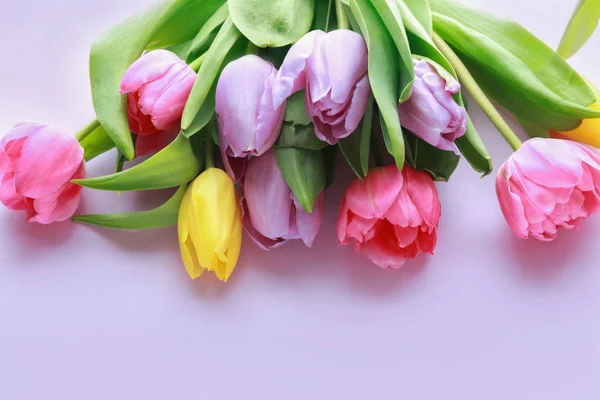 Bouquet Bellissimi Tulipani Sfondo Colori — Foto Stock