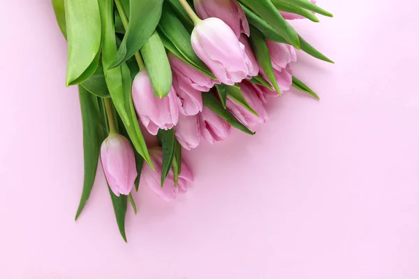 Bouquet Bellissimi Tulipani Sfondo Colori — Foto Stock