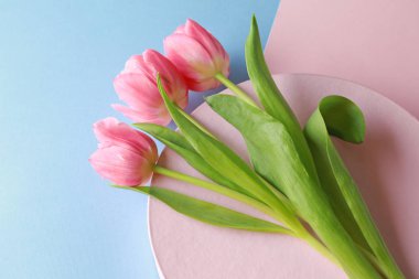 Güzel laleler ve renk arka plan üzerinde hediye kutusu