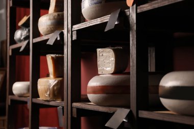 Mağaza raflarında lezzetli peynir çeşitleri