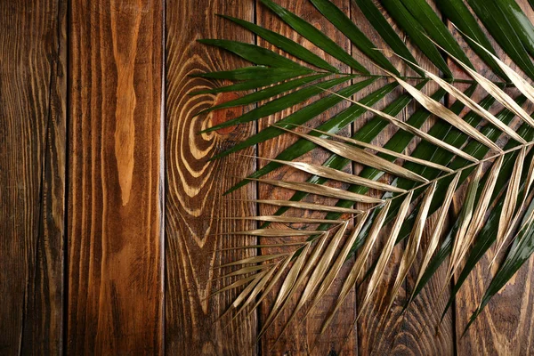 Hojas tropicales verdes y doradas sobre fondo de madera — Foto de Stock