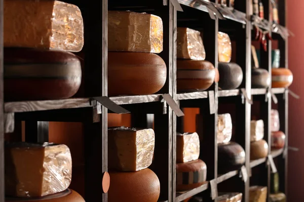 Assortment of tasty cheese on shelves in store