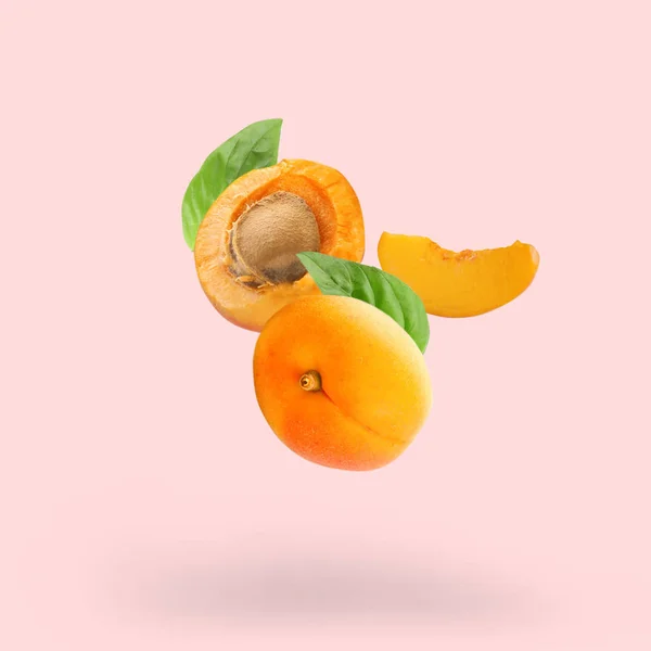 Падение сладких абрикосов с листьями базилика на цветном фоне — стоковое фото
