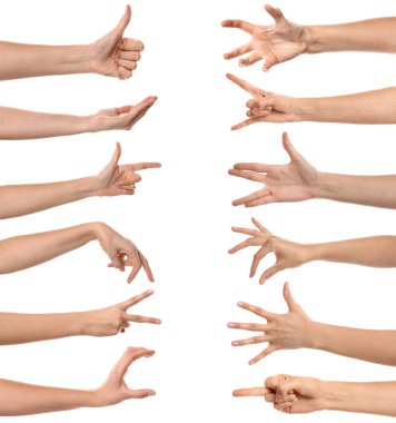 Gesturing female hands on white background clipart