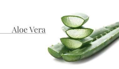 Aloe Vera beyaz arkaplanda ayrılıyor