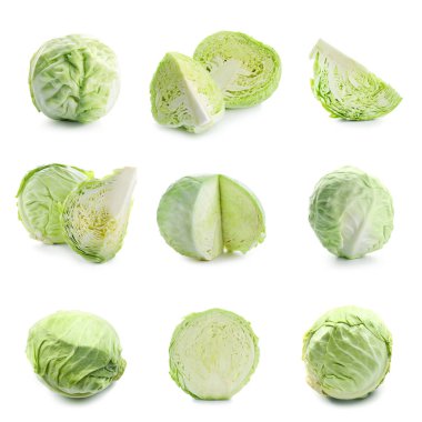 Beyaz arka plan üzerinde olgunlaşmış lahanaları kümesi