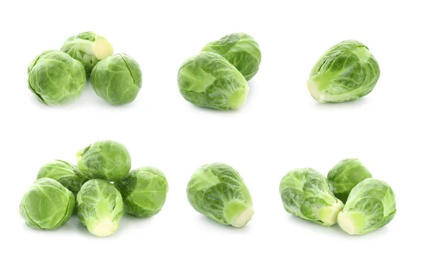 Fresh Brussels sprouts on white background — Stock Photo, Image