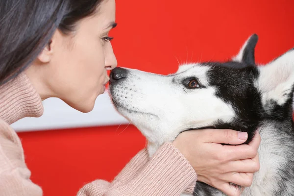 Vele aranyos husky kutya fiatal nő portréja — Stock Fotó